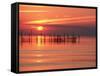 Silhouetted Fishing Net at Sunset-Lowell Georgia-Framed Stretched Canvas