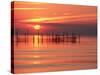 Silhouetted Fishing Net at Sunset-Lowell Georgia-Stretched Canvas