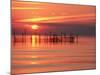 Silhouetted Fishing Net at Sunset-Lowell Georgia-Mounted Photographic Print