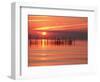 Silhouetted Fishing Net at Sunset-Lowell Georgia-Framed Photographic Print