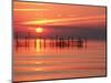 Silhouetted Fishing Net at Sunset-Lowell Georgia-Mounted Photographic Print