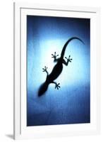 Silhouetted Gecko-Robbie Shone-Framed Photographic Print