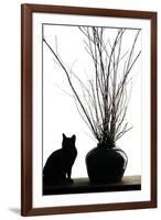 Silhouetted image of a cat by a flower pot, Los Angeles, California, USA.-Julien McRoberts-Framed Premium Photographic Print