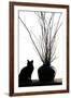 Silhouetted image of a cat by a flower pot, Los Angeles, California, USA.-Julien McRoberts-Framed Premium Photographic Print