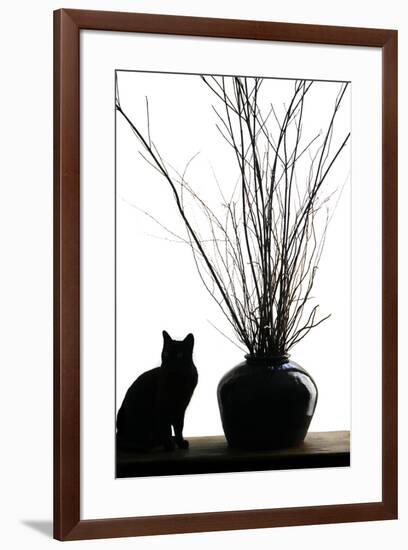 Silhouetted image of a cat by a flower pot, Los Angeles, California, USA.-Julien McRoberts-Framed Premium Photographic Print