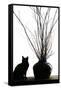 Silhouetted image of a cat by a flower pot, Los Angeles, California, USA.-Julien McRoberts-Framed Stretched Canvas