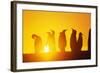 Silhouetted King Penguin Colony at Sunrise-null-Framed Photographic Print