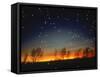 Silhouetted Landscape Below Star-Filled Sky-Chris Rogers-Framed Stretched Canvas