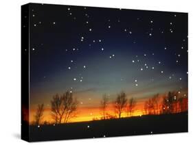 Silhouetted Landscape Below Star-Filled Sky-Chris Rogers-Stretched Canvas