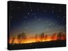 Silhouetted Landscape Below Star-Filled Sky-Chris Rogers-Stretched Canvas