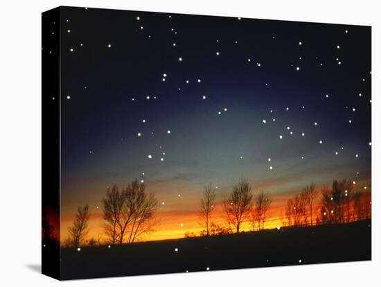Silhouetted Landscape Below Star-Filled Sky-Chris Rogers-Stretched Canvas