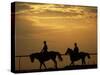 Silhouetted Men Riding on Horses, Dubai, UAE-Henry Horenstein-Stretched Canvas