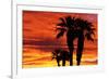 Silhouetted Palms at Sunrise, Anza-Borrego Desert State Park, Usa-Russ Bishop-Framed Photographic Print