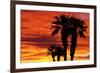 Silhouetted Palms at Sunrise, Anza-Borrego Desert State Park, Usa-Russ Bishop-Framed Photographic Print