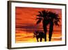 Silhouetted Palms at Sunrise, Anza-Borrego Desert State Park, Usa-Russ Bishop-Framed Photographic Print