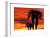 Silhouetted Palms at Sunrise, Anza-Borrego Desert State Park, Usa-Russ Bishop-Framed Photographic Print