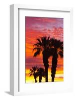 Silhouetted Palms at Sunrise, Anza-Borrego Desert State Park, Usa-Russ Bishop-Framed Photographic Print