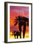 Silhouetted Palms at Sunrise, Anza-Borrego Desert State Park, Usa-Russ Bishop-Framed Photographic Print