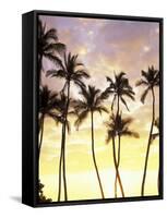 Silhouetted Palms at Sunset, Kamaole Park 1, Maui, Hawaii, USA-Darrell Gulin-Framed Stretched Canvas