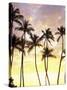 Silhouetted Palms at Sunset, Kamaole Park 1, Maui, Hawaii, USA-Darrell Gulin-Stretched Canvas