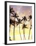 Silhouetted Palms at Sunset, Kamaole Park 1, Maui, Hawaii, USA-Darrell Gulin-Framed Photographic Print