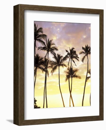 Silhouetted Palms at Sunset, Kamaole Park 1, Maui, Hawaii, USA-Darrell Gulin-Framed Photographic Print