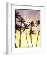 Silhouetted Palms at Sunset, Kamaole Park 1, Maui, Hawaii, USA-Darrell Gulin-Framed Photographic Print