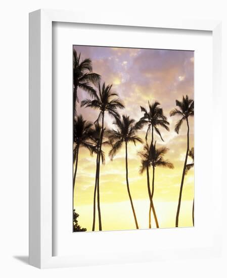 Silhouetted Palms at Sunset, Kamaole Park 1, Maui, Hawaii, USA-Darrell Gulin-Framed Photographic Print