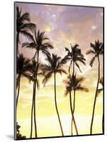 Silhouetted Palms at Sunset, Kamaole Park 1, Maui, Hawaii, USA-Darrell Gulin-Mounted Photographic Print