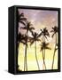 Silhouetted Palms at Sunset, Kamaole Park 1, Maui, Hawaii, USA-Darrell Gulin-Framed Stretched Canvas