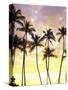 Silhouetted Palms at Sunset, Kamaole Park 1, Maui, Hawaii, USA-Darrell Gulin-Stretched Canvas