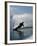 Silhouetted Water Skier-null-Framed Photographic Print