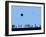 Silhouettes and Gulls 2-Adrian Campfield-Framed Giclee Print