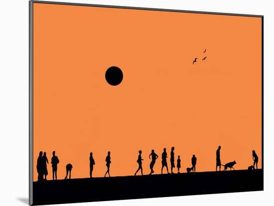 Silhouettes and Gulls 4-Adrian Campfield-Mounted Giclee Print