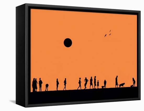 Silhouettes and Gulls 4-Adrian Campfield-Framed Stretched Canvas