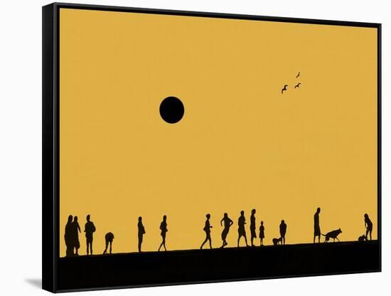 Silhouettes and Gulls 5-Adrian Campfield-Framed Stretched Canvas