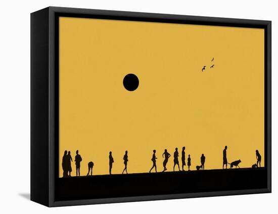 Silhouettes and Gulls 5-Adrian Campfield-Framed Stretched Canvas