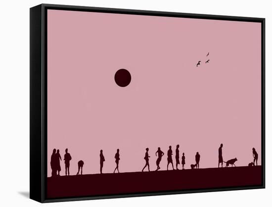 Silhouettes and Gulls 6-Adrian Campfield-Framed Stretched Canvas