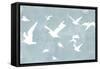 Silhouettes in Flight I-Jennifer Goldberger-Framed Stretched Canvas