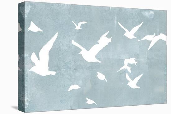 Silhouettes in Flight I-Jennifer Goldberger-Stretched Canvas