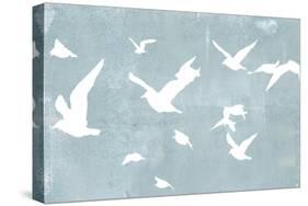 Silhouettes in Flight I-Jennifer Goldberger-Stretched Canvas