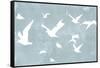 Silhouettes in Flight I-Jennifer Goldberger-Framed Stretched Canvas