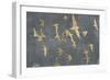 Silhouettes in Flight IV-Jennifer Goldberger-Framed Premium Giclee Print