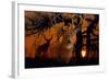 Silhouettes of Autumn-Gordon Semmens-Framed Giclee Print