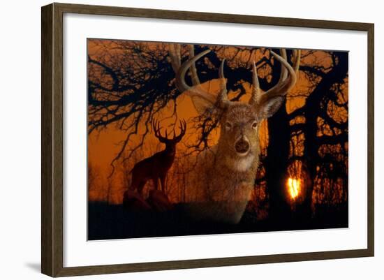 Silhouettes of Autumn-Gordon Semmens-Framed Giclee Print