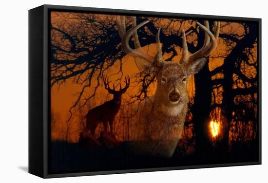 Silhouettes of Autumn-Gordon Semmens-Framed Stretched Canvas