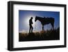 Silhouettes of Cowboy and Horse-Darrell Gulin-Framed Photographic Print