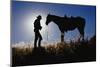 Silhouettes of Cowboy and Horse-Darrell Gulin-Mounted Photographic Print