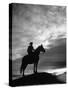 Silhouettes of Cowboy Mounted on Horse-Allan Grant-Stretched Canvas