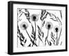 Silhouettes of Dandelion seed heads and grasses, UK-Ernie Janes-Framed Photographic Print